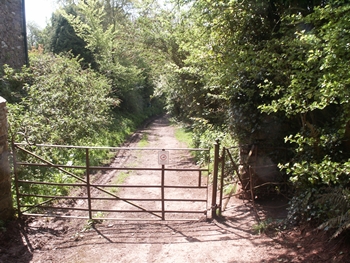 Footpath15